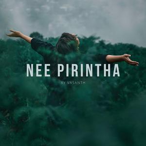 Nee Pirintha (Radio Edit)