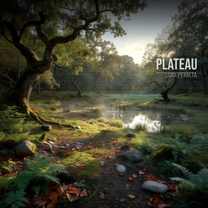 Plateau