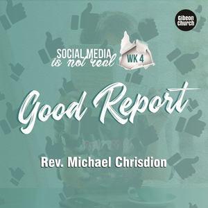 Social Media Is Not Real 4/4 - Good Report