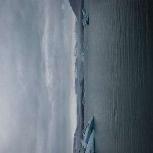 WHOACEAN (Timothy Cleary Remix)