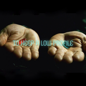 韬光养晦 To Keep a Low Profile