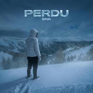 Perdu