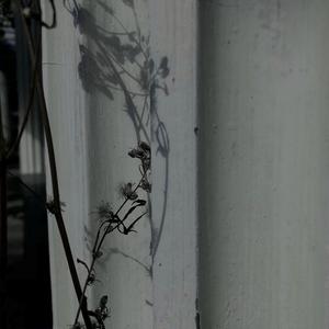 Shiloh Dynasty-So Long（Ekko Remix）