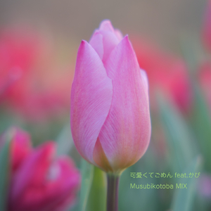 可愛くてごめん (feat. HoneyWorks & かぴ) [Cover]