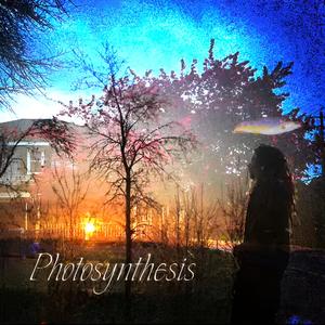 Campfire (photosynthesis)