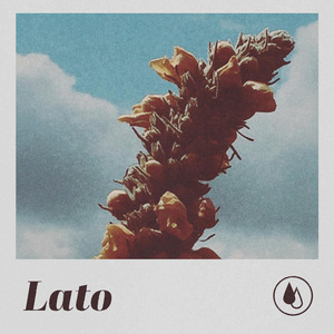 Lato