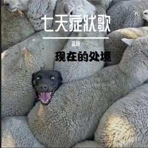 悲伤是道疤可我不想治好它 (男声demo)