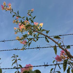 FadeOutTheBlue (demo)