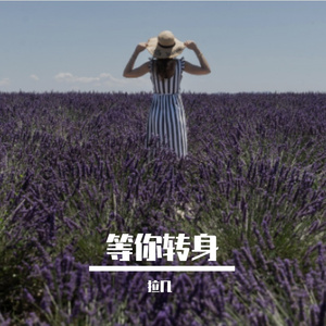 转身 伴奏
