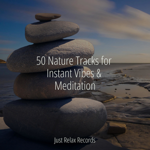 Stillness Beneath the Mist