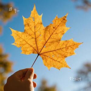 黄色枫叶 (Cover 薛之谦)