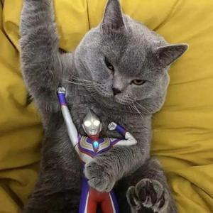 20220531_003817_0.wav