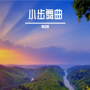 迷雾森林的回响