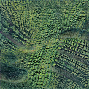 Воспоминаний