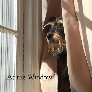 At the Window