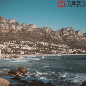 你好，春天 -钢琴