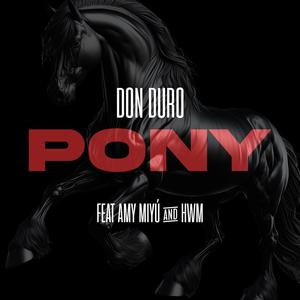 Pony