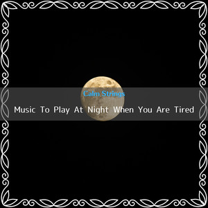 A Shelter in the Rain