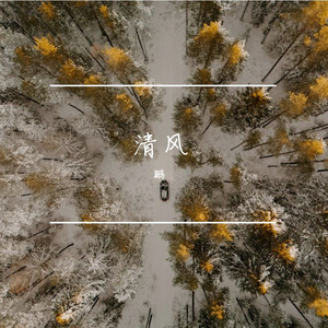 失无可失 才最自由