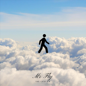 MR FLY