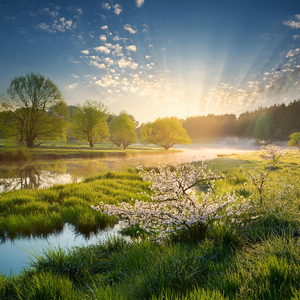 봄빛이 깨어나는 아침