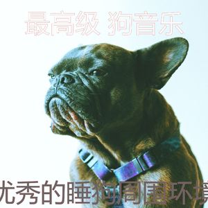 微妙的可爱的狗心情