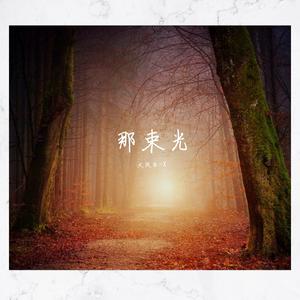 追随