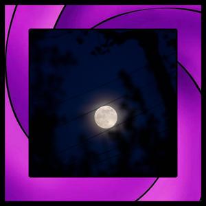 TOBI (feat. Hollow Donnie)