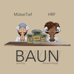 BAUN (prod. by Stereovoltage)
