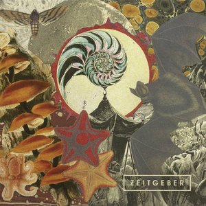 Echolocate - seeing with sound