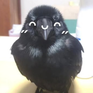 ハッピーポップ