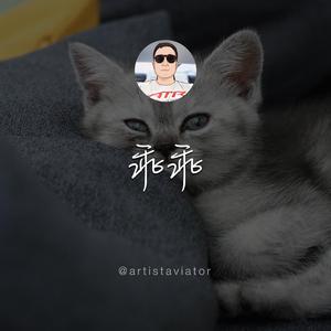 乖乖