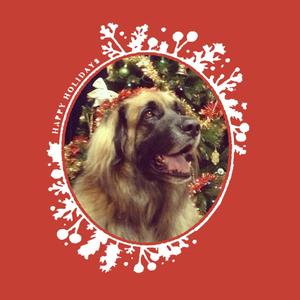 Tinsel (Tier 4 Demo) (Tier 4 Demo)