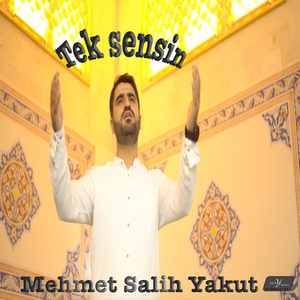 Tek Sensin
