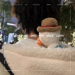 i will follow you into the dark cover