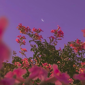 "Over U" LOFI TYPE-BEAT