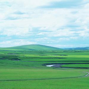 一半疯了一半算了（DJ海哥版）