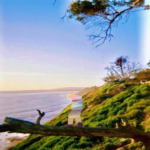 Sweat n Gold (feat. Night)