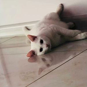 还有三天世界末日你会留一天给我吗？