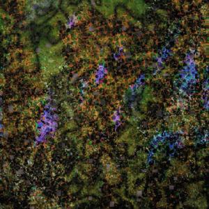 The Gopi Girls and Krishna