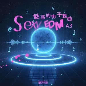 魅惑的电子舞曲-Sexy EDM A3 5769