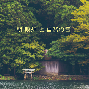 森の鳥のさえずり