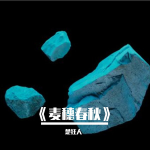 《麦穗春秋》
