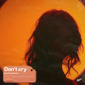 Trapsoul x Emotional Type Beat "Don't cry"