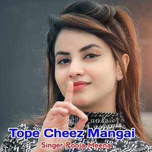 Tope Cheez Mangai