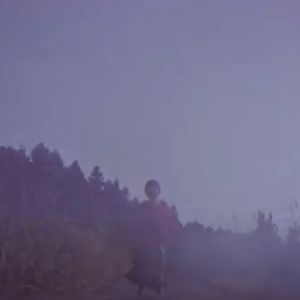 Everything-日语版