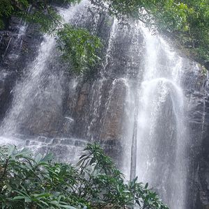三点半的雨
