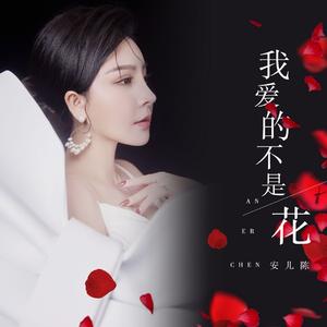 我爱的不是花（DJ月之歌版）