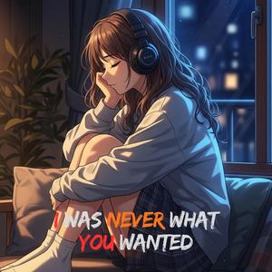 I Was Never What You Wanted