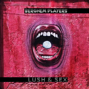 Lush & Sex (DJ Solovey Remix)